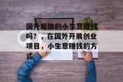 国外能做的小生意赚钱吗？，在国外开展创业项目，小生意赚钱的方式