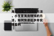 海南小生意的赚钱方法，小生意海南赚钱的方法，如何快速起步并实现盈利