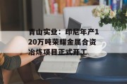 青山实业：印尼年产120万吨荣耀金属合资冶炼项目正式开工