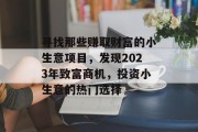 寻找那些赚取财富的小生意项目，发现2023年致富商机，投资小生意的热门选择