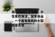 浙江舟山致富之道，小生意的海洋，探索舟山，一个富有商机的小型创业天堂