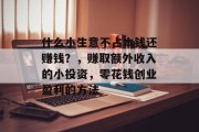 什么小生意不占本钱还赚钱？，赚取额外收入的小投资，零花钱创业盈利的方法