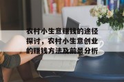 农村小生意赚钱的途径探讨，农村小生意创业的赚钱方法及前景分析