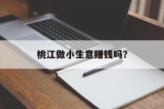 桃江做小生意赚钱吗？