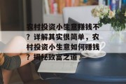 农村投资小生意赚钱不？详解其实很简单，农村投资小生意如何赚钱？揭秘致富之道