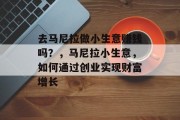 去马尼拉做小生意赚钱吗？，马尼拉小生意，如何通过创业实现财富增长