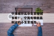 宁海有什么小生意赚钱多呢？，宁海有哪些高利润的小生意推荐
