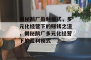揭秘鹅厂盈利模式，多元化经营下的赚钱之道，揭秘鹅厂多元化经营下的盈利模式