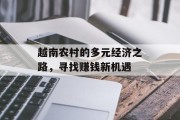 越南农村的多元经济之路，寻找赚钱新机遇