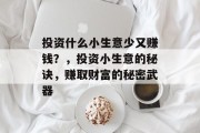 投资什么小生意少又赚钱？，投资小生意的秘诀，赚取财富的秘密武器