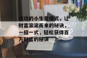 成功的小生意模式，让财富滚滚而来的秘诀，一招一式，轻松获得百万财富的秘诀
