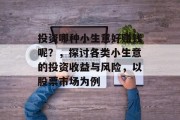 投资哪种小生意好赚钱呢？，探讨各类小生意的投资收益与风险，以股票市场为例