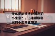 什么是能够快速盈利的小生意？，迅速赚取利润的小型商业想法