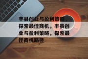 丰县创业与盈利策略，探索最佳商机，丰县创业与盈利策略，探索最佳商机路径