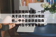 小生意赚钱不易，一份关于这个行业的深度剖析，中小企业创业指南，如何在小生意中盈利