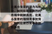 北美小生意的潜力与机会，如何在竞争激烈的市场中脱颖而出，北美小生意的独特竞争优势，如何在激烈竞争中脱颖而出