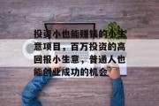 投资小也能赚钱的小生意项目，百万投资的高回报小生意，普通人也能创业成功的机会