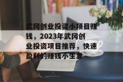 武冈创业投资小项目赚钱，2023年武冈创业投资项目推荐，快速盈利的赚钱小生意