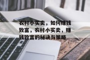 农村小买卖，如何赚钱致富，农村小买卖，赚钱致富的秘诀与策略