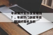 年前做什么小生意赚钱？，年前热门创业项目，赚钱好商机分析