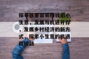 探寻县里容易赚钱的小生意，发展与机遇并存，发展乡村经济的新方式，探索小生意的机遇和挑战