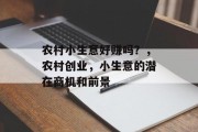 农村小生意好赚吗？，农村创业，小生意的潜在商机和前景