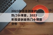 2023年适合创业的热门小项目，2023年投资创业热门小项目分析
