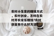 农村小生意的赚钱方式，农村创业，怎样在农村开农家乐赚钱?农村创业有什么好方法？