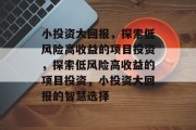 小投资大回报，探索低风险高收益的项目投资，探索低风险高收益的项目投资，小投资大回报的智慧选择