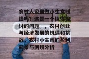 农村人家里做小生意赚钱吗？这是一个值得探讨的问题。，农村创业与经济发展的机遇和挑战，农村小生意的盈利前景与困境分析
