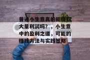 普通小生意真的能赚取大量利润吗？，小生意中的盈利之道，可能的赚钱方法与实践策略