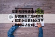 探索各种赚钱的小生意，你需要的灵感和策略，探索小生意创业点子，如何成功盈利?