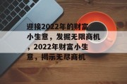 迎接2022年的财富小生意，发掘无限商机，2022年财富小生意，揭示无尽商机