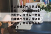 男人赚钱的小生意项目推荐——全面解读和实例分析，打造人生财富的赚钱小生意，从创业到运营，全面解析与实例分析
