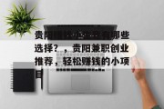 贵阳赚钱小生意有哪些选择？，贵阳兼职创业推荐，轻松赚钱的小项目