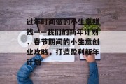 过年时间做的小生意赚钱——我们的新年计划，春节期间的小生意创业攻略，打造盈利新年计划