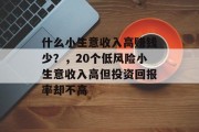 什么小生意收入高赚钱少？，20个低风险小生意收入高但投资回报率却不高