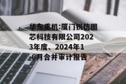 华东重机:厦门锐信图芯科技有限公司2023年度、2024年1-6月合并审计报告
