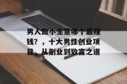 男人做小生意哪个最赚钱？，十大男性创业项目，从副业到致富之道