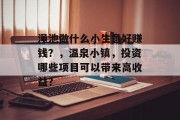 渑池做什么小生意好赚钱？，温泉小镇，投资哪些项目可以带来高收益？