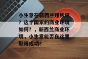 小生意在新西兰赚钱吗？这个国家的商业环境如何？，新西兰商业环境，小生意能否在这里取得成功？