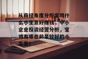 从商经角度分析宝鸡什么小生意好赚钱，中小企业投资经营分析，宝鸡有哪些前景较好的小生意？