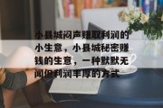 小县城闷声赚取利润的小生意，小县城秘密赚钱的生意，一种默默无闻但利润丰厚的方式