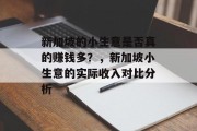 新加坡的小生意是否真的赚钱多？，新加坡小生意的实际收入对比分析