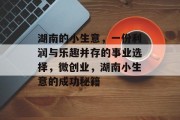 湖南的小生意，一份利润与乐趣并存的事业选择，微创业，湖南小生意的成功秘籍