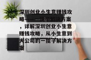 深圳创业小生意赚钱攻略——一揽子解决方案，详解深圳创业小生意赚钱攻略，从小生意到大公司的一揽子解决方案