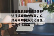 农民兄弟如何通过多种途径实现增收致富，农民兄弟如何多元化途径实现增收致富