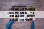 如何通过小生意创业加盟实现财富增长，中小生意创业加盟，实现财富增长的途径与策略