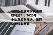 今年小生意如何快速赚取利润？，2023年小生意盈利秘诀，如何快速赚取利润