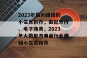 2023年最火赚钱的小生意推荐，数据分析、电子商务，2023年大数据与电商行业赚钱小生意推荐